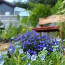 목화펜션 이미지