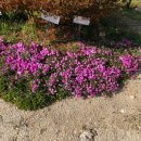 선애황토방 이미지