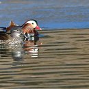 청도천2 이미지