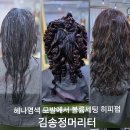 헤나의미