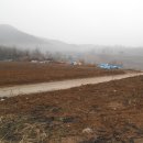 노은면사무소 이미지