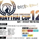 피노키오복싱 이미지