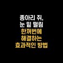 구로프라자온누리약국 이미지