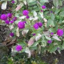 도봉탐방지원센터 이미지