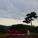 21 | 가을꽃향기 속 양산 제21회 양산 국화축제 후기｜ 황산공원 코스모스·댑싸리 만개 + 반려동물 문화축제...