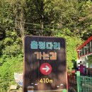 경북 문경 지도에 안 나오는 단풍 명소 봉명산 출렁다리