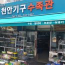 천안기구수족관