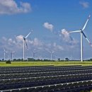 전일태양광발전소 이미지