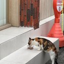 금오산로1L-2 이미지