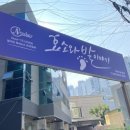효소와발이야기