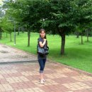 부이공원 이미지