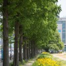 경희부자한의원 이미지