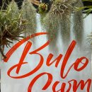 불로안경백화점 | 동성로팝업 대백 앞 필수코스!! 불로썸(Bulo-ssom) 후기