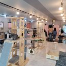 냥린이네 이미지