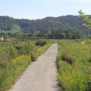 대촌산들길 이미지