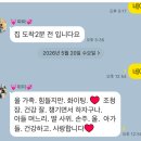 하늘세탁 | 임신18주일상(초코바게트,첫태동느낌,단백질스콘,말차초코설기떡,임산부바지추천,밀양위양지,풀빌라펜션...
