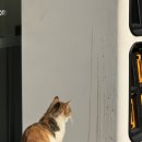 제경약국 이미지