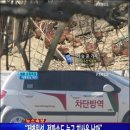 계룡농장 이미지