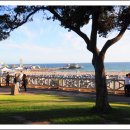 싼타모니카 이미지