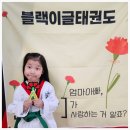 이글태권도 이미지