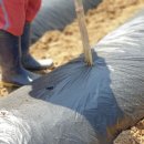 별이농장 이미지