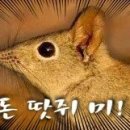 대지부분정비 이미지