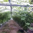 박종훈농장 이미지