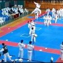 마루한 태권도 이미지