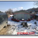 백양대로 이미지