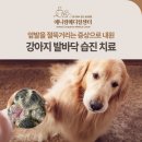 애니컴 메디컬센터 이미지