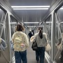 4619 | 중국산동항공 인천~칭다오 탑승후기 SC4620, SC4619 (수화물무게, 기내식)