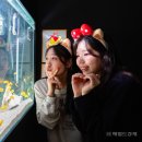 포토월드 스튜디오 헤럴드경제