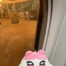 고원약국 | 베트남 나트랑 달랏 3박5일 가족 패키지 후기(12월은 우기🥲)