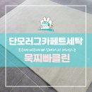 묵찌빠클린 이미지