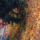 제물포여자중학교 이미지