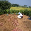 천수농장 이미지