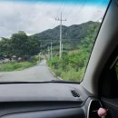 수피오레 이미지