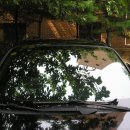 트라제9 이미지