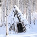 자작나무힐 이미지