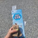 두밀숲캠핑장 | 가평 두밀숲캠핑장 후기