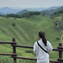 블랙야크 맞은편 횡단보도 | 여름등산, 민둥산 등산코스 및 주차정보