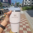 현대 캐스퍼 차량용품, 악세사리 구입 기록 (feat. 현대차몰,네이버 내돈내산, 가성비, 위시리스트)