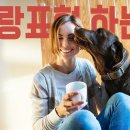 강아지 사랑 이미지