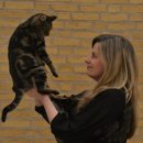 CAT Daum카페