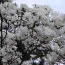 연지공원2 이미지