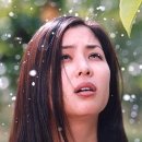 하루기억