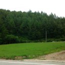 쌍봉공인중개사사무소 이미지