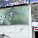 궁인테리어 건물 이미지