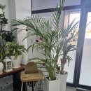 구암동218 | 군산 우정명태 구암조촌점 ㅡ 콩나물명태찜 3인분 + 복튀김 / 프라이빗 룸 있는 모임 맛집,군산철길마을...