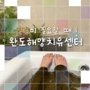 해조 | 완도 해양치유센터 ㅣ 프리미엄 대사증후관리 후기 - 해조류스파,저주파,머드랩핑,향기테라피
